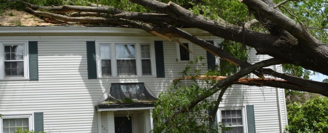 Fact or Fiction?  We had a storm last night and my neighbors tree fell on my house. Their insurance will cover it.